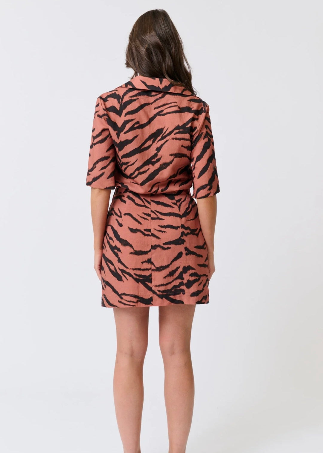 Harley Mini Dress ~ Zebra