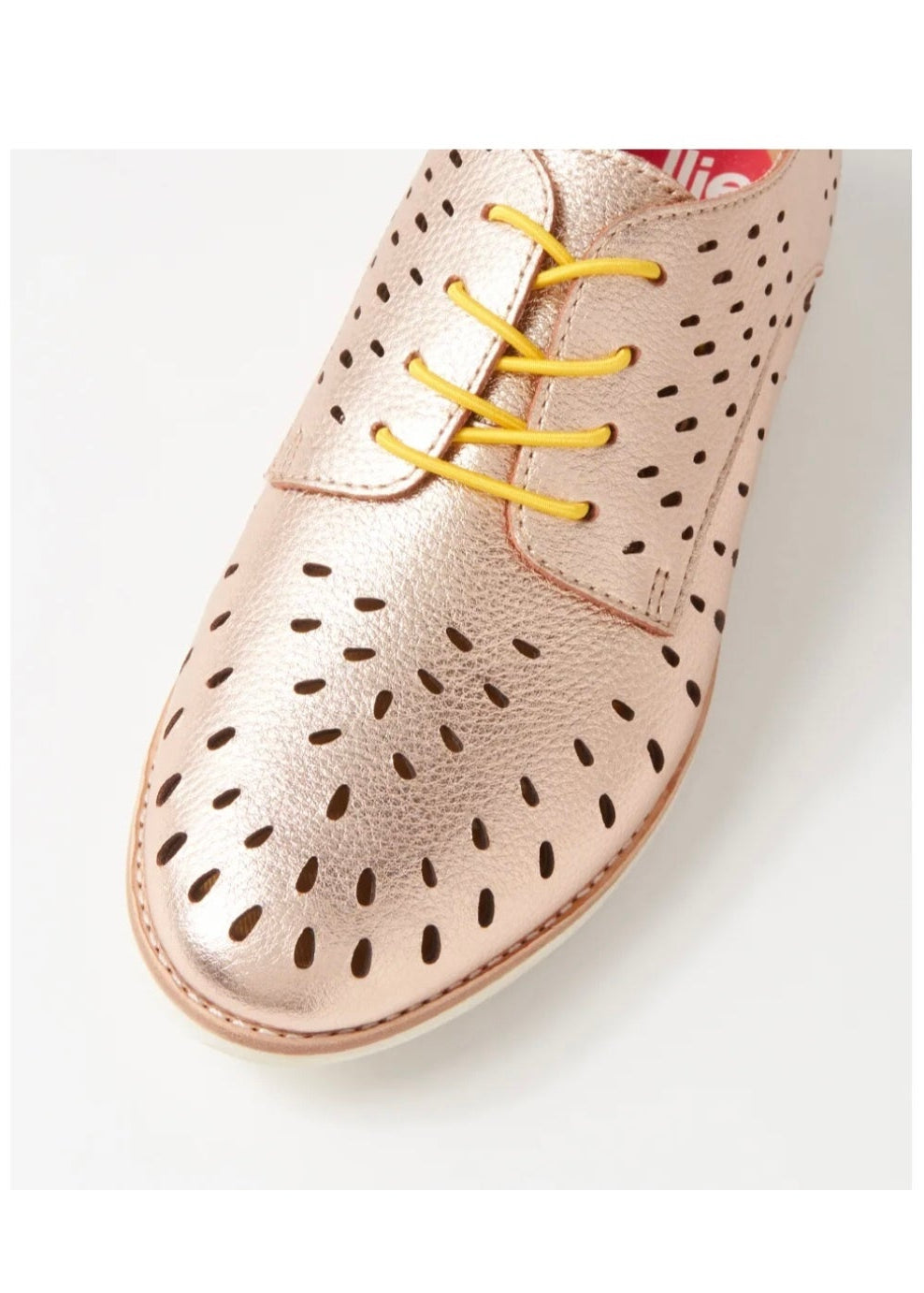 Derby Lazer ~ Rose Gold