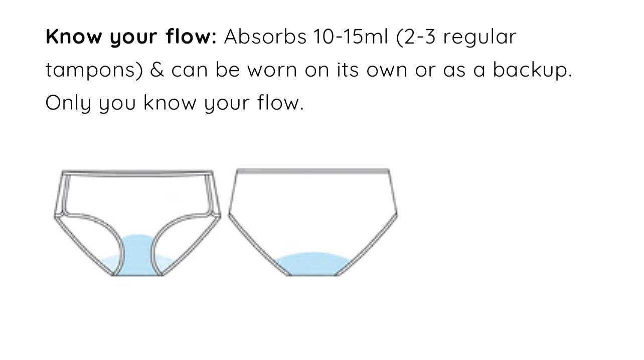 Period Midi Brief ~ Black