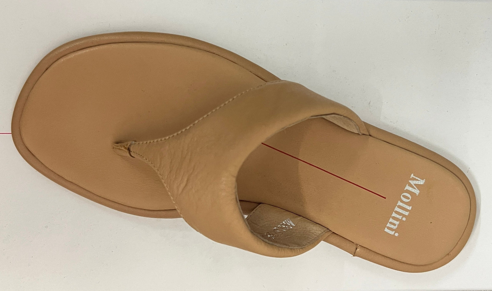 Mallorie Thong ~ Camel