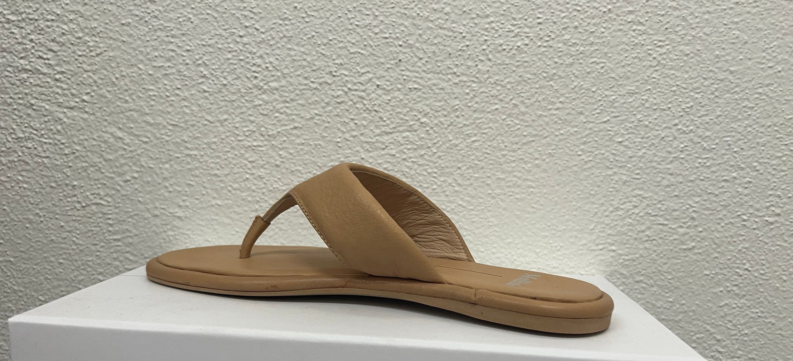 Mallorie Thong ~ Camel