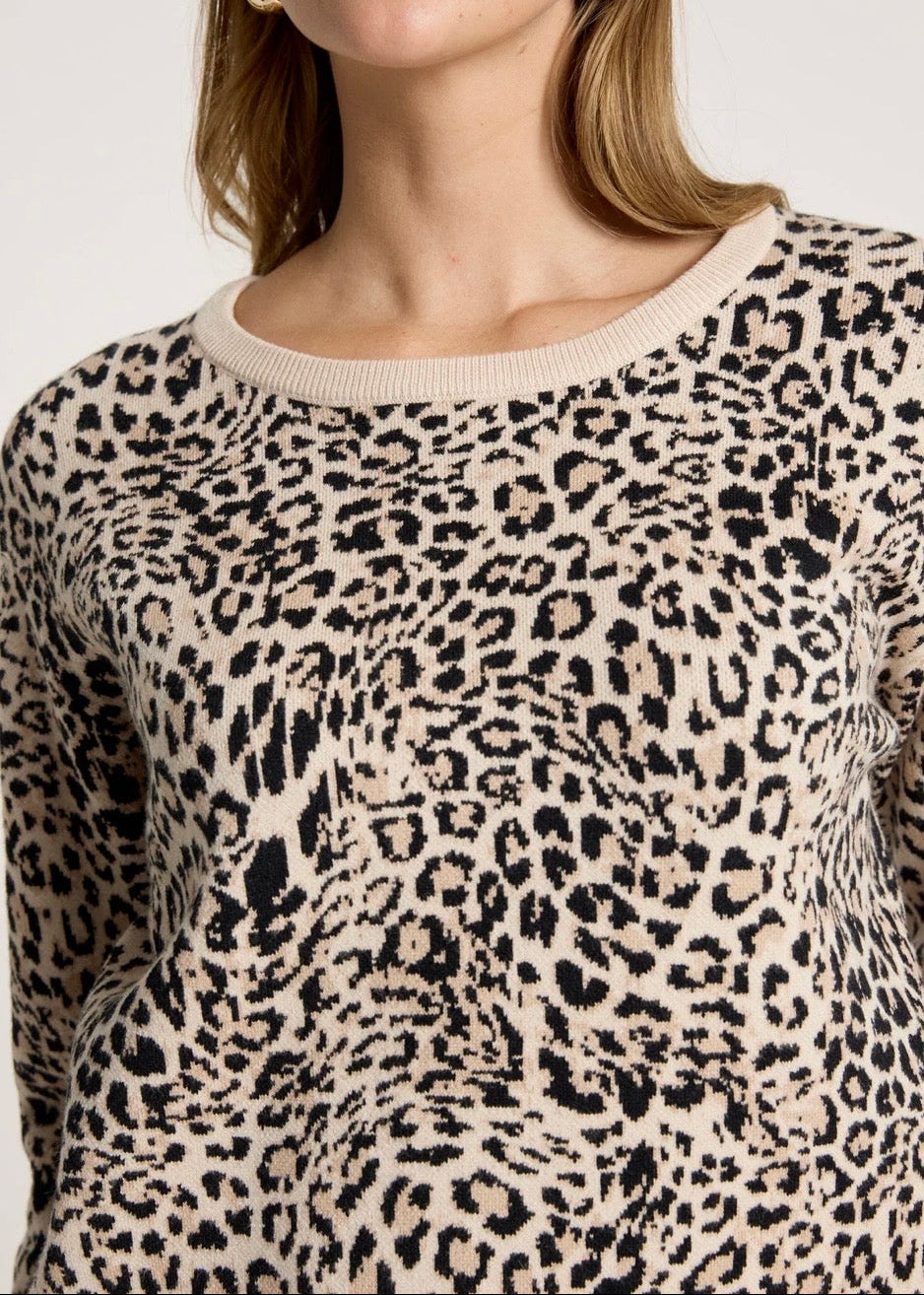 Zala Jumper ~ Nomad