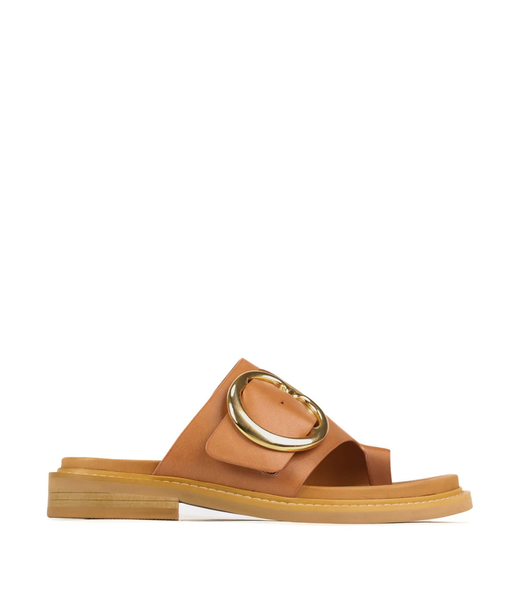 Orn Slide ~ Brandy