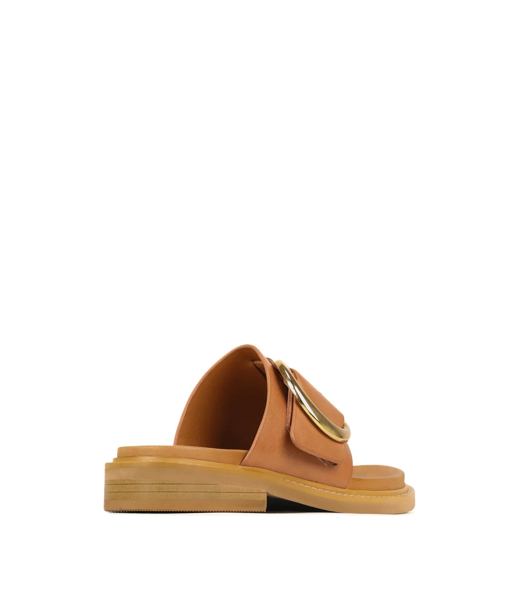 Orn Slide ~ Brandy