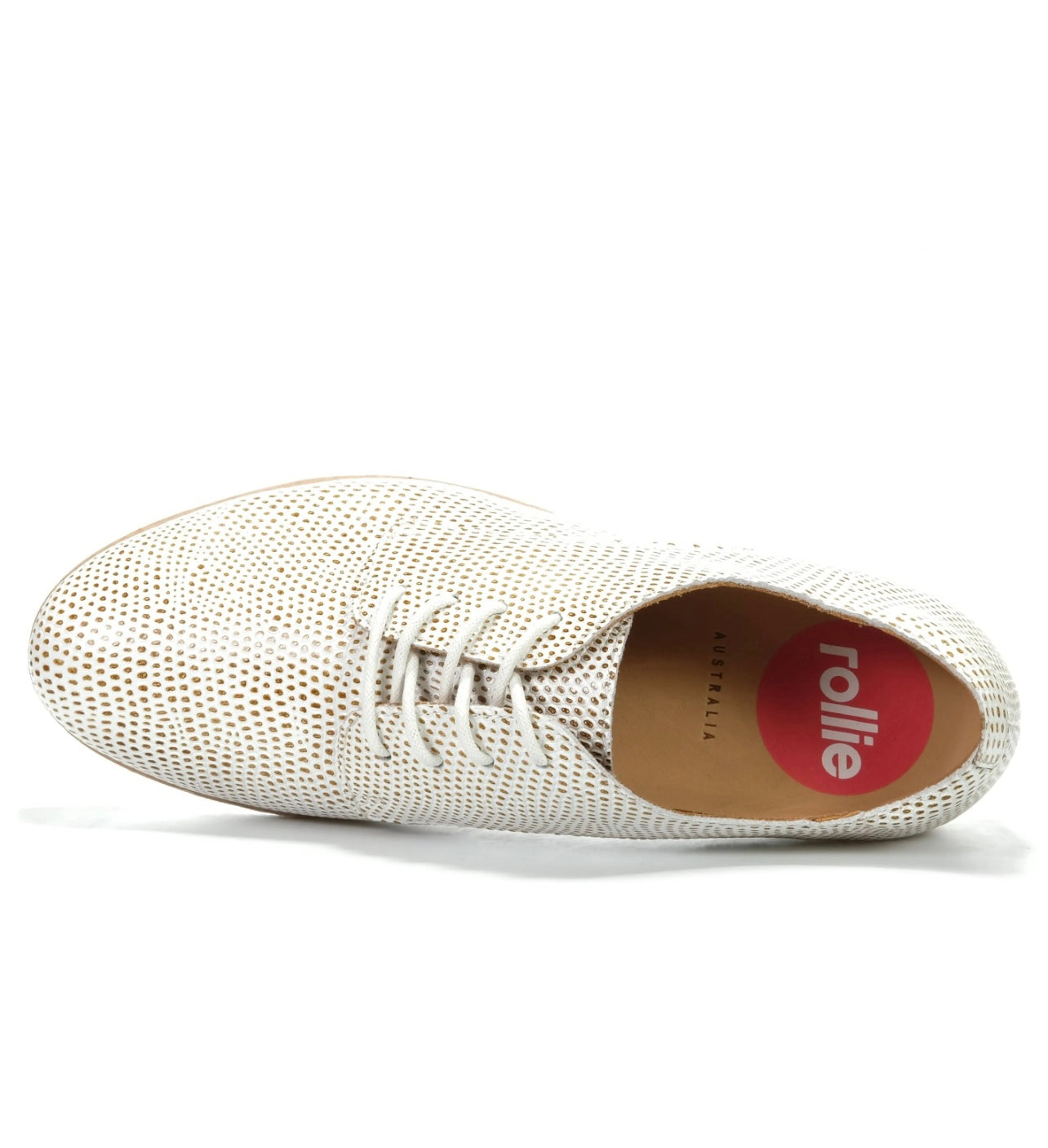 Derby ~ Tan/White Snake