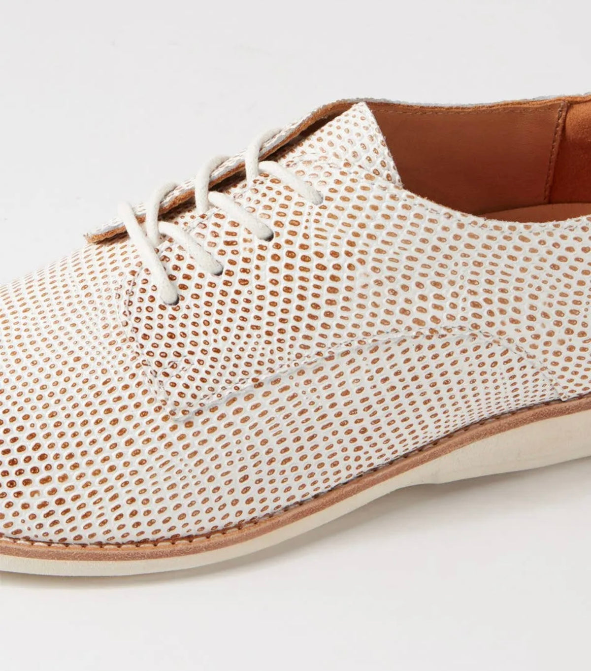 Derby ~ Tan/White Snake