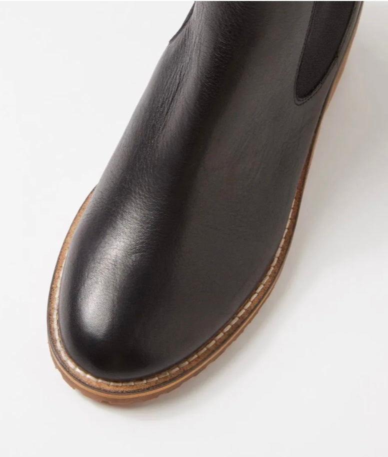 Biscoti Boot ~ Black