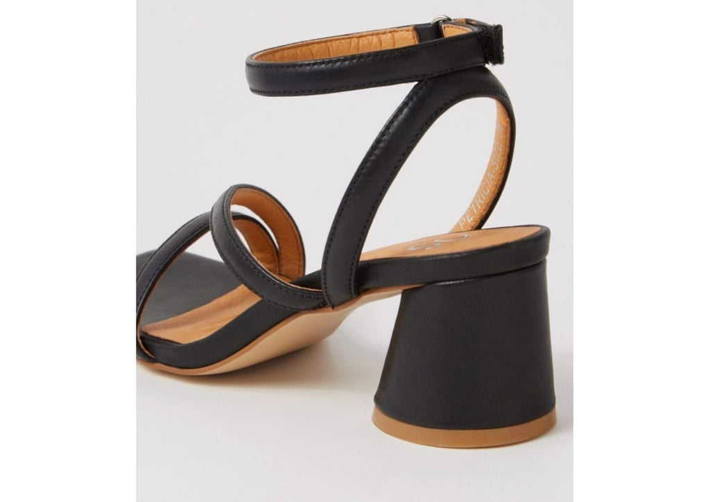 Petricia ~ Black