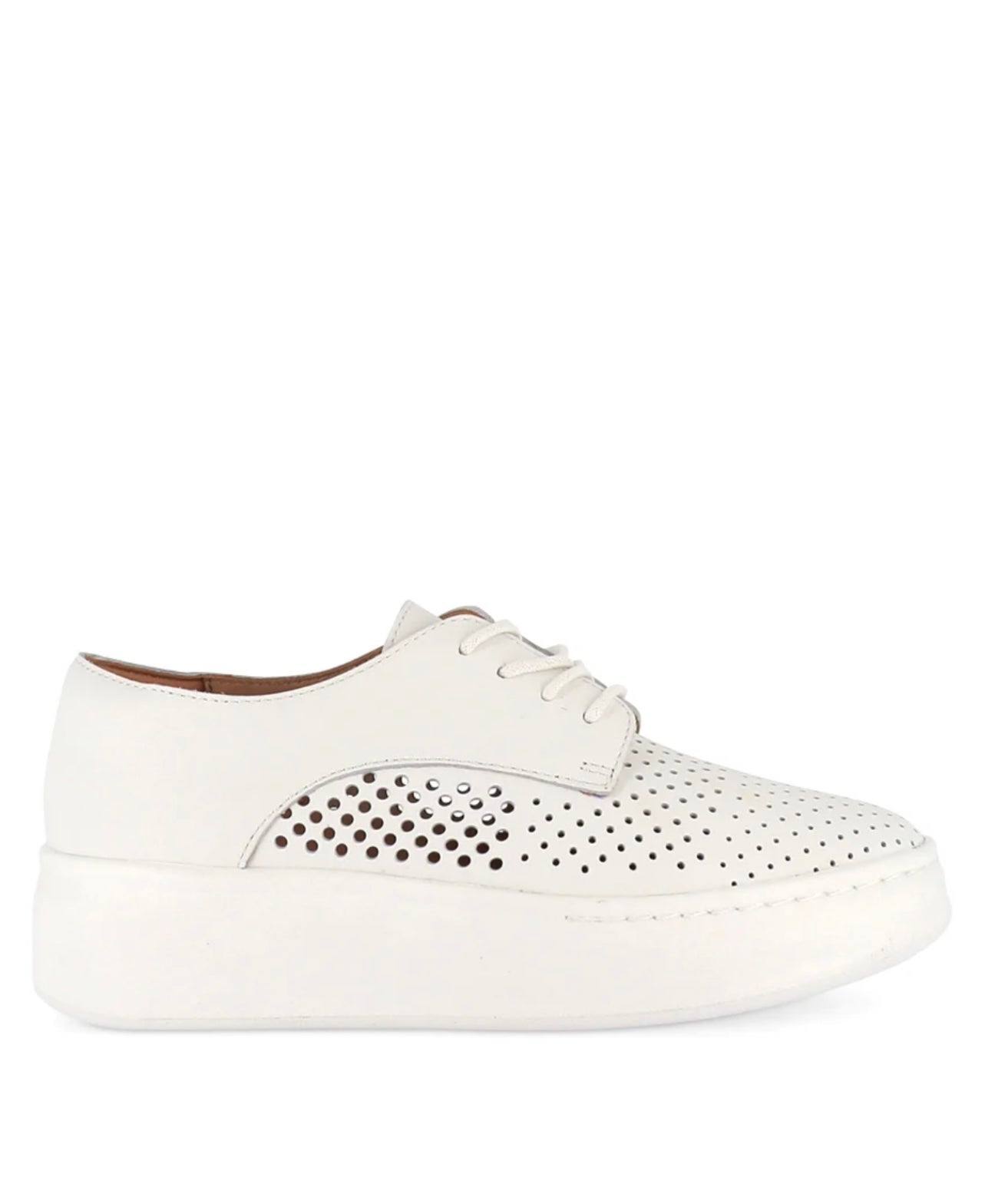 Derby City ~ Punch White
