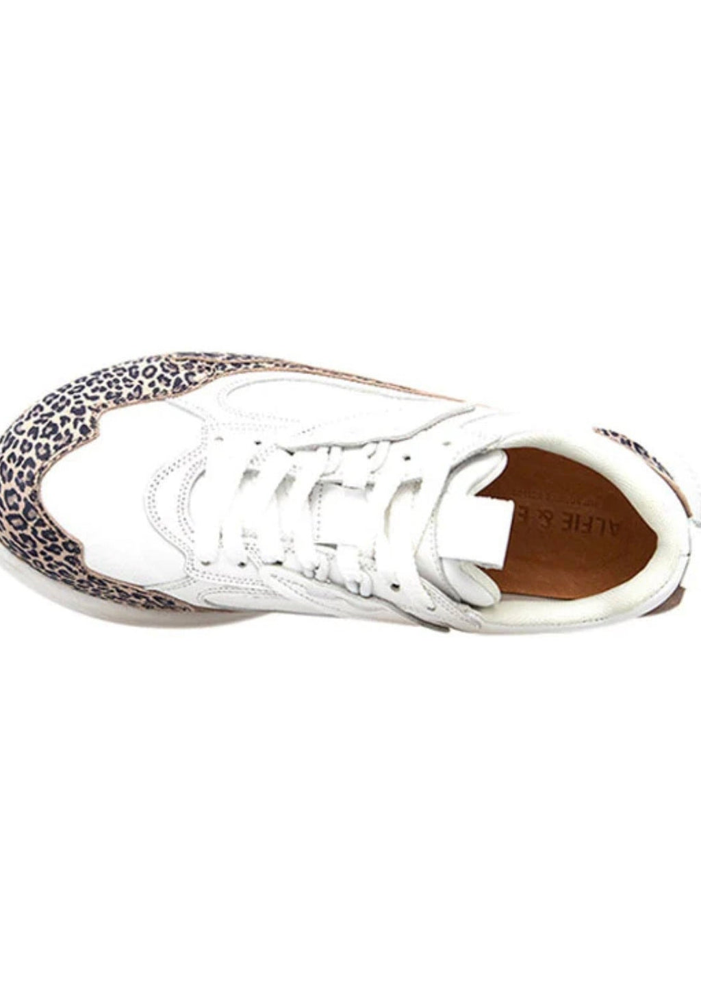 Thurman ~ Animal/White