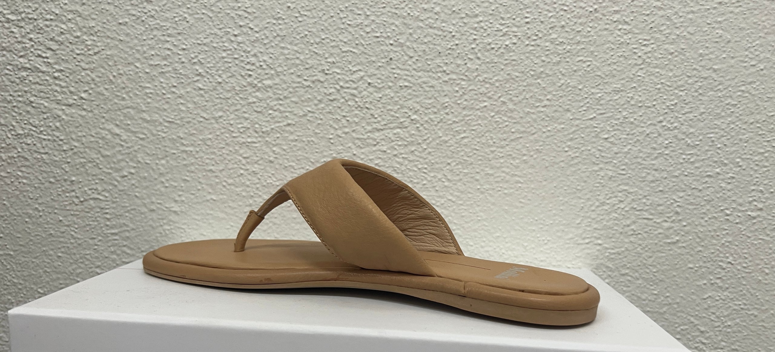 Mallorie Thong ~ Camel