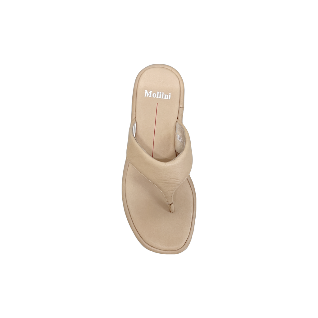 Mallorie Thong ~ Camel