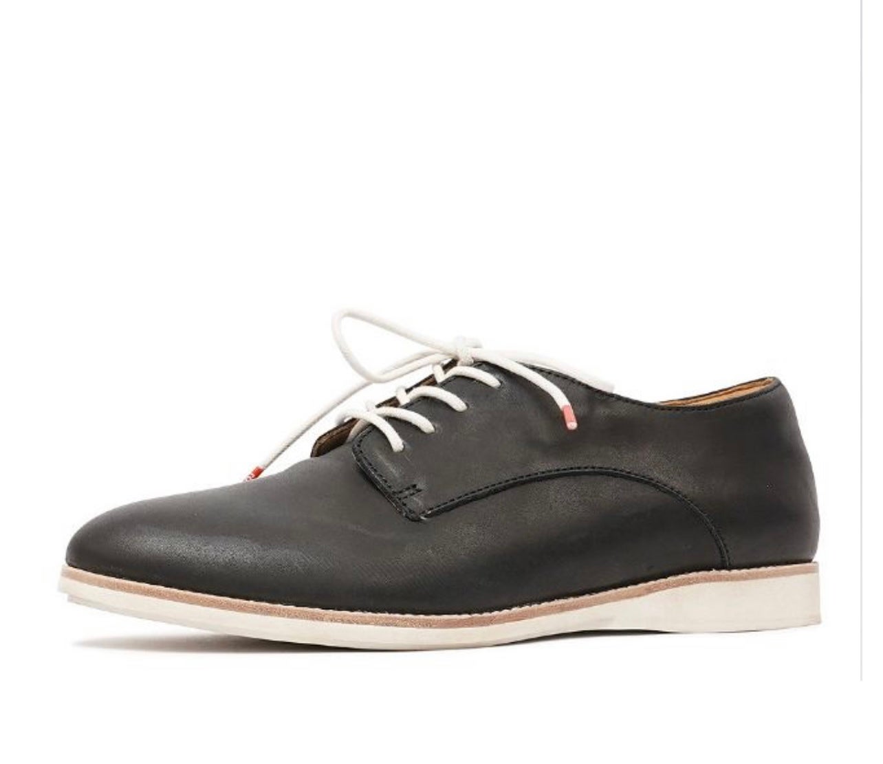Derby ~ Black
